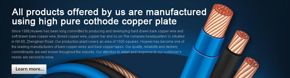 All products offered by us are manufactured using high pure cothode copper plate